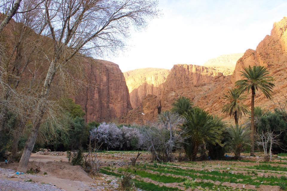 Dar Ayour Todra Gorges Aït Baha 外观 照片
